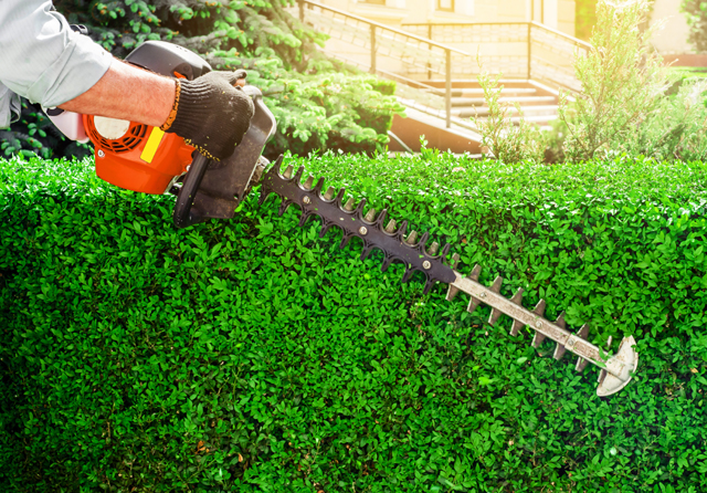 Hedging