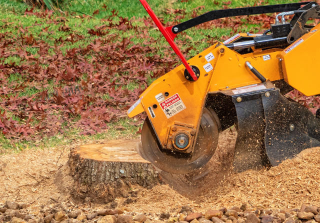 Stump Grinding